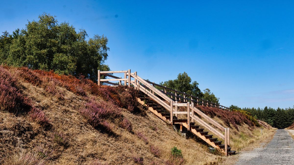 Bohlensteg im Brachter Depot