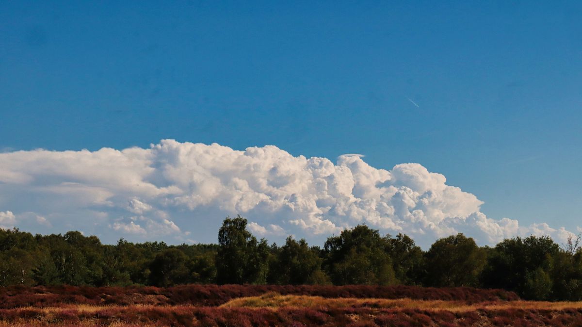 Wolkengebirge über der Heide