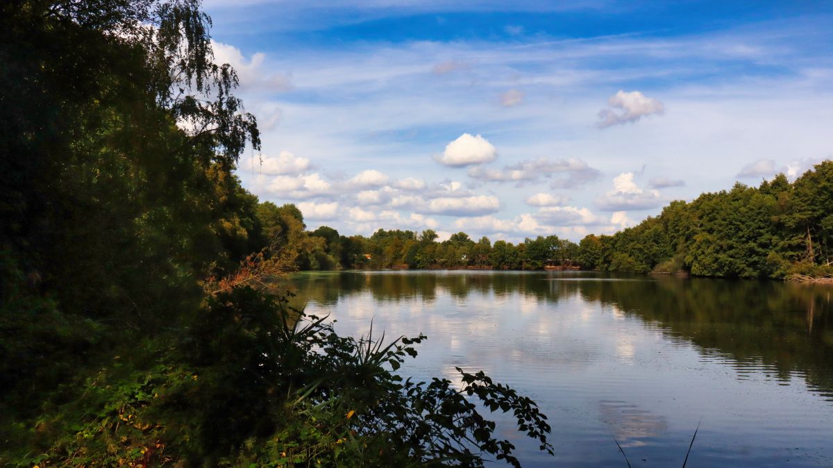 Bick zum Ostufer Oberer Breyeller See