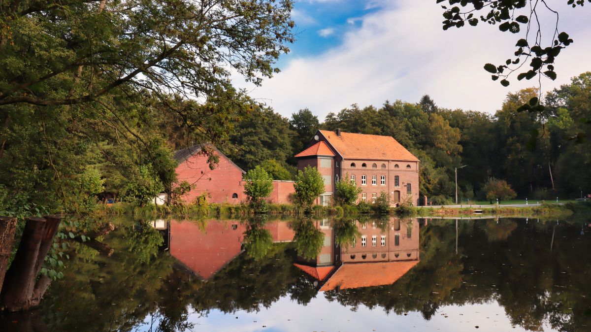 Weiher und Buschmühle