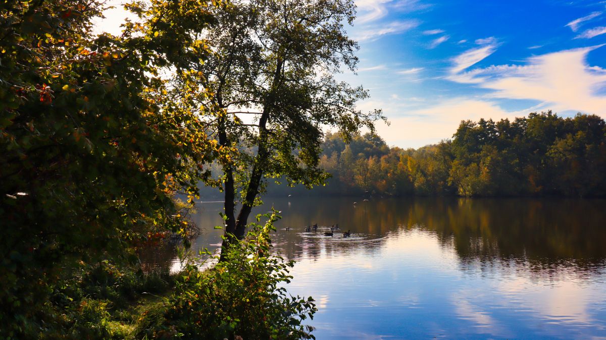 Holtmühlenweiher