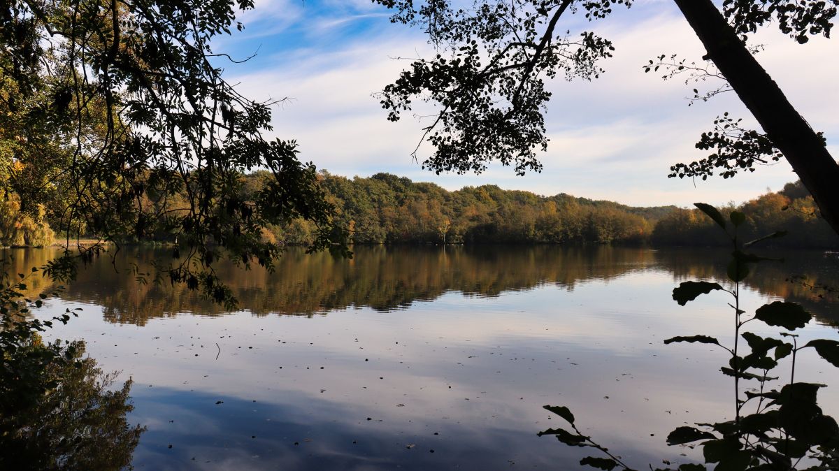 Holtmühlenweiher