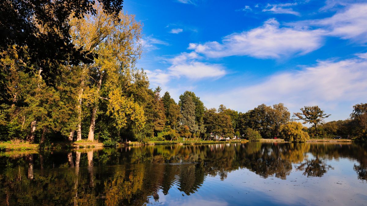 Holtmühlenweiher