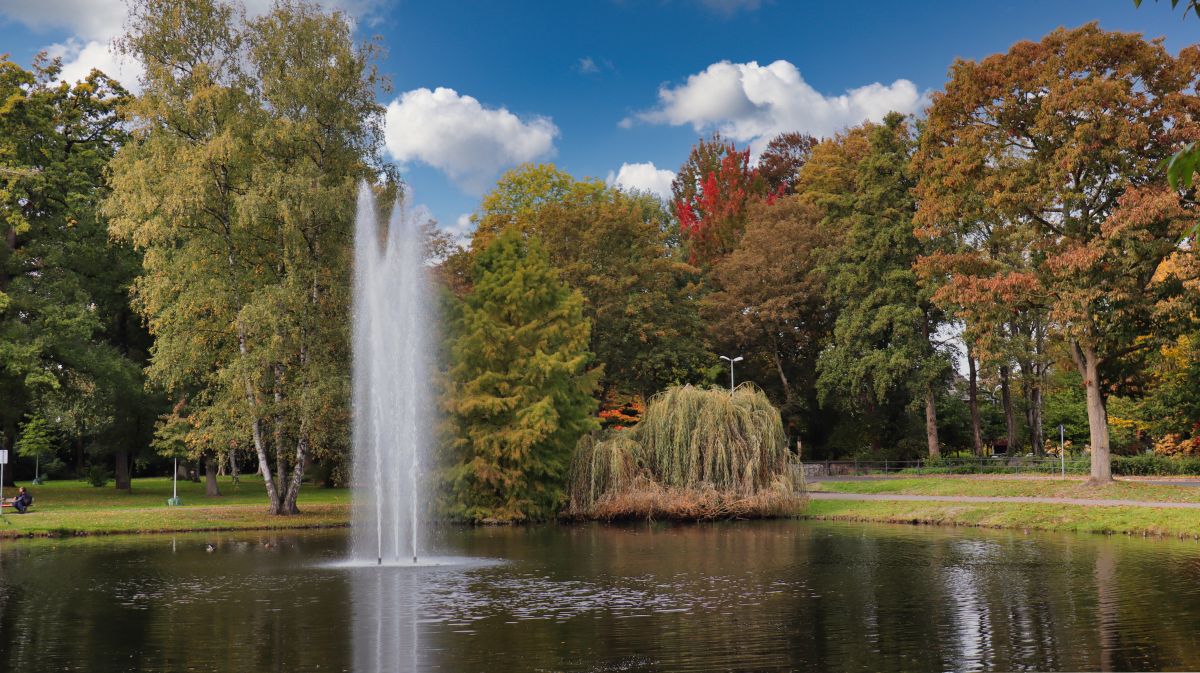 Weiher im Stadtpark Wegberg