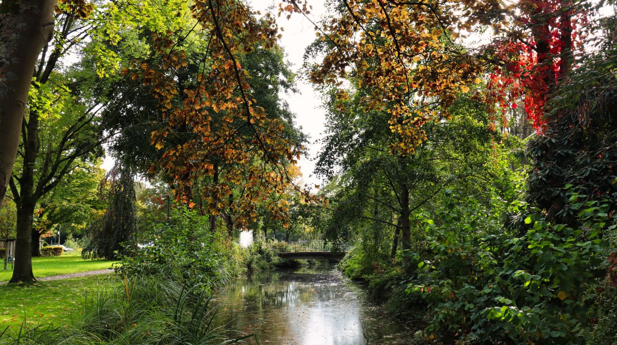 Wassergraben an der Burg Wegberg