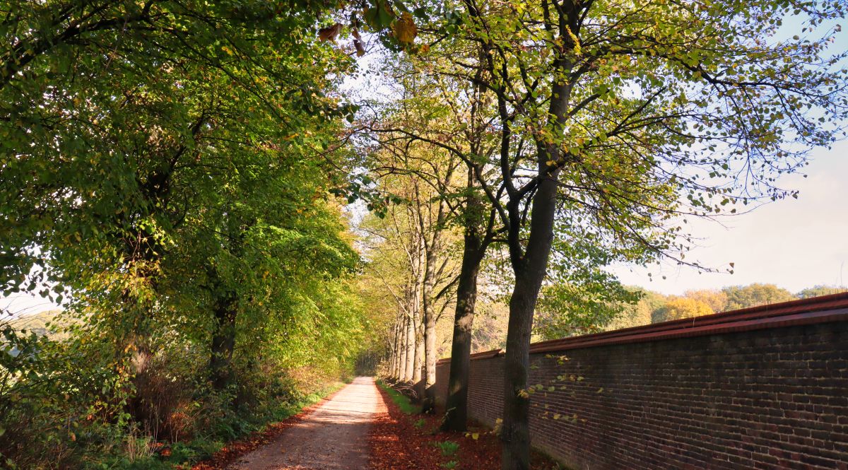 Entlang der Klostermauer