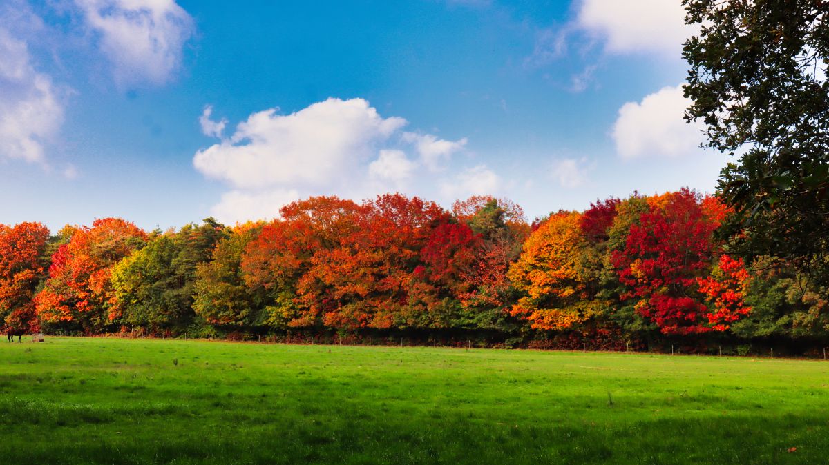 Indian Summer am Kloster