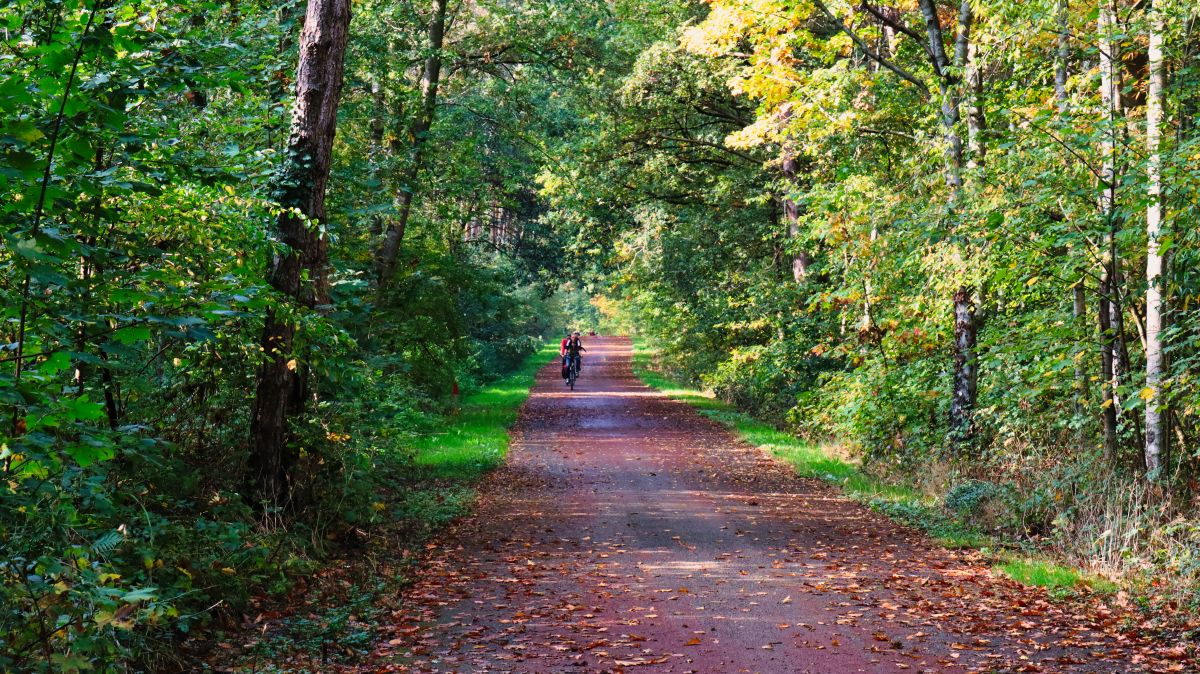 Radweg Jammerdalseweg