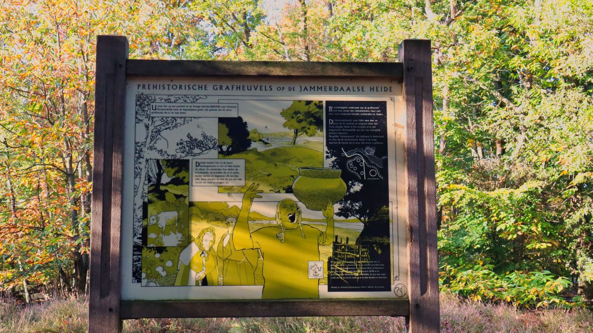 Grabhügel im Jammerdaalse Heide