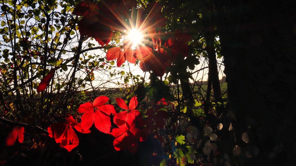 Herbstblick am Kloster