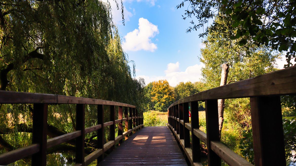 Nettebrücke am Rohrdommelprojekt