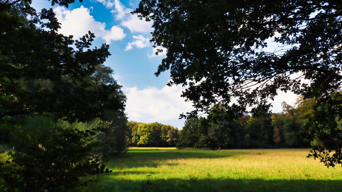 Wiesen am Hinsbecker Bruch