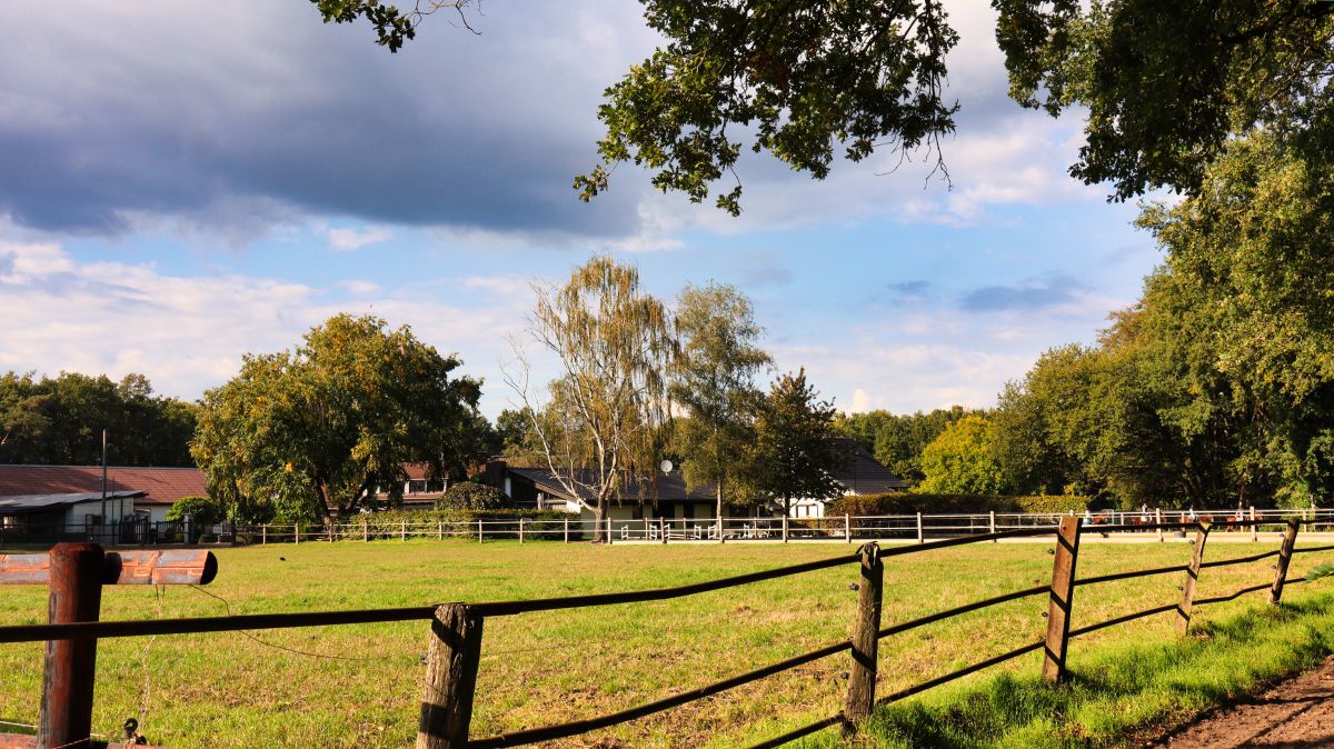 Gestüt Seehof