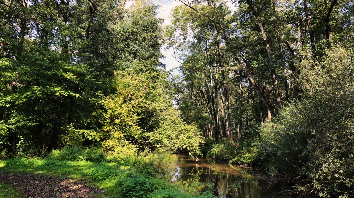 An der Schwalm bei Pannenmühle