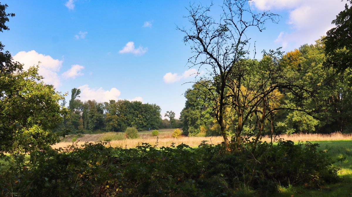 Wiese an der Radermühle