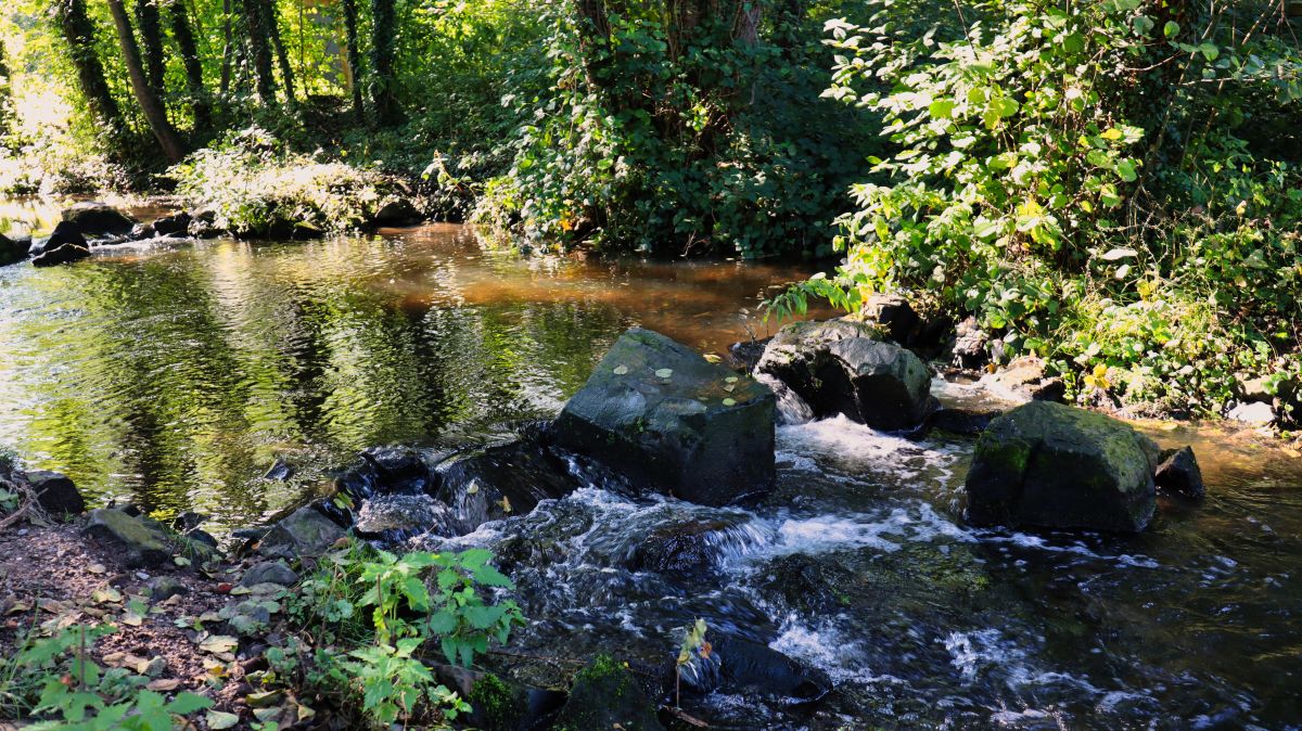 Schwalm an der Bremptermühle