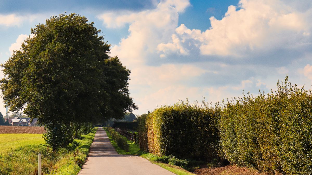 Auf dem Weg nach Birth