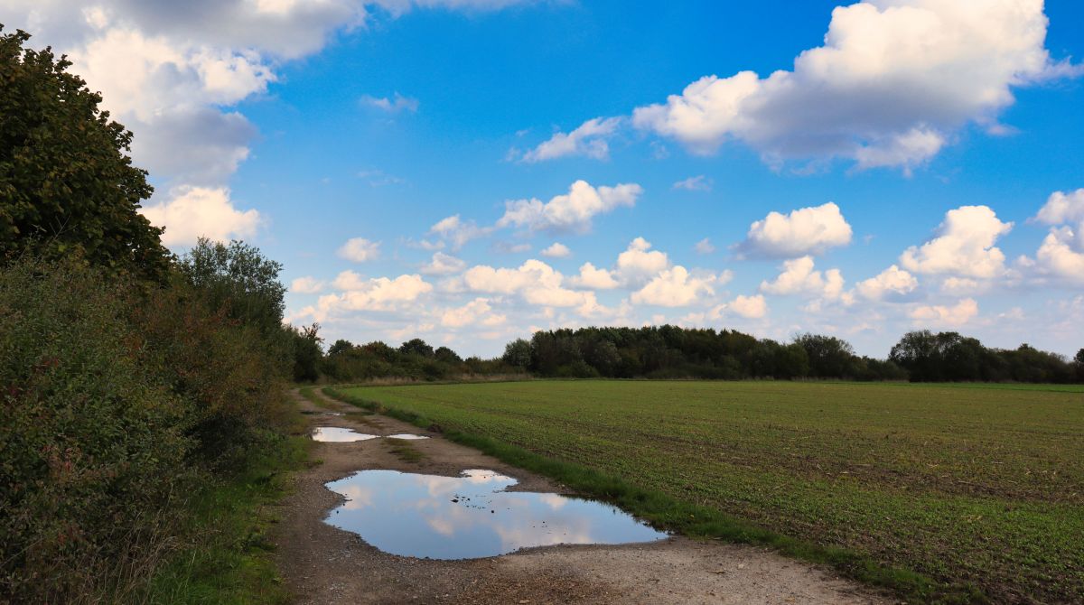 Im Feld bei Oberkrüchten