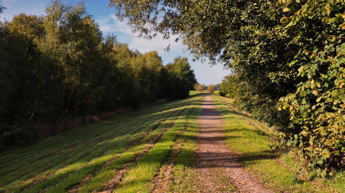 Deichweg