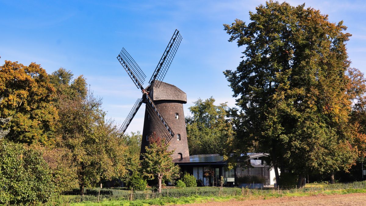 Eversael Drießener Mühle