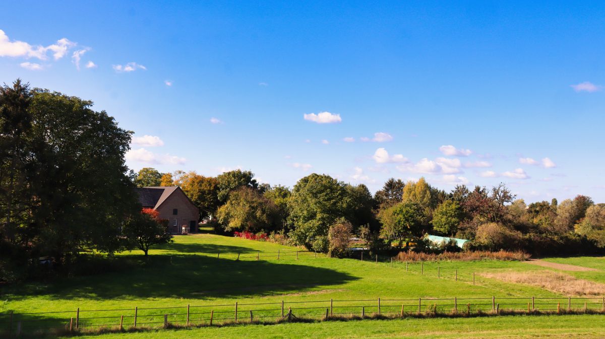 Bauernhof am Rheindeich