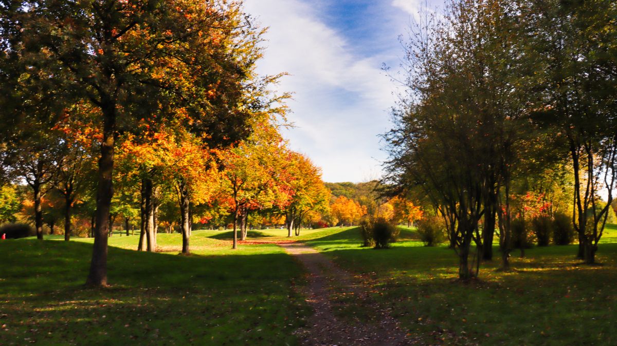 Golfplatz am Kloster Kamp