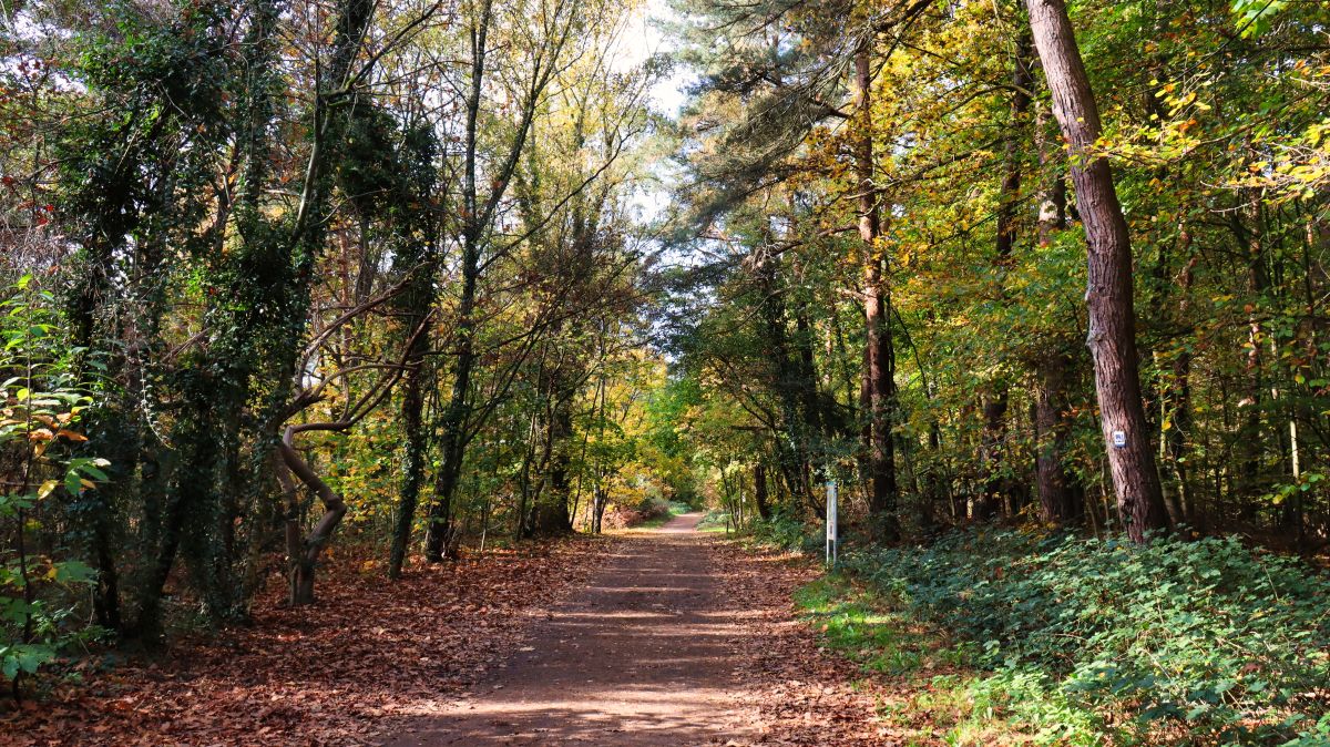 Weg zum Hühnerkamp