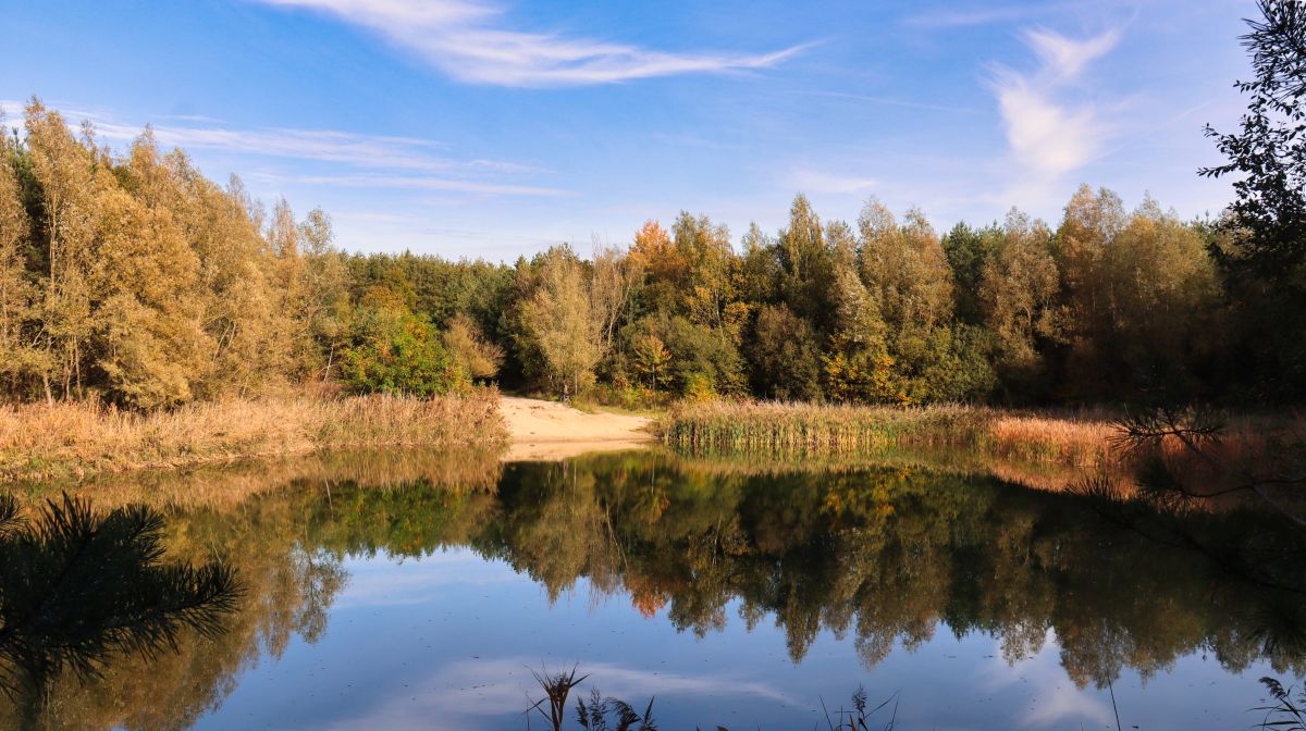 Kleiner See im NSG Holtmühle