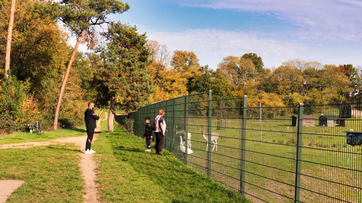 Am Zaun vom Wildgehege Wambachpark