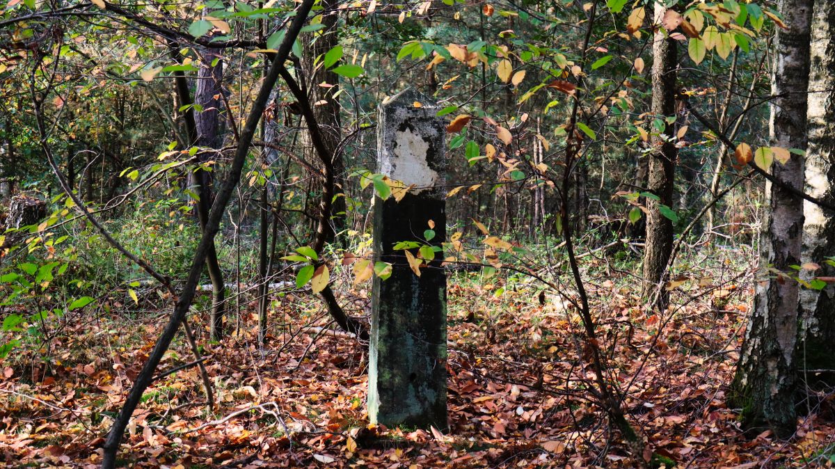 Grenzstein im Wald