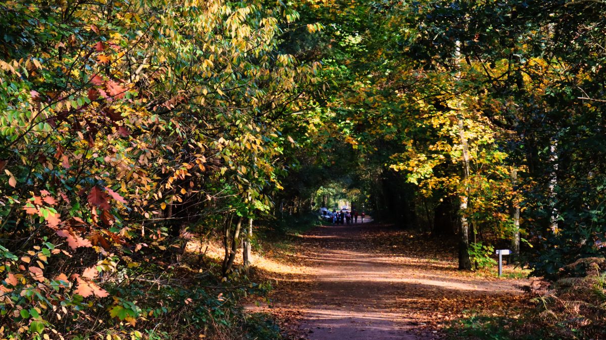 Weg zum Gasthof Galgenvenn