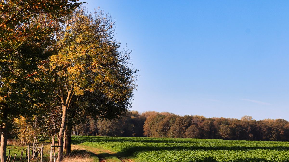 In den Feldern zwischen Karken und Haaren