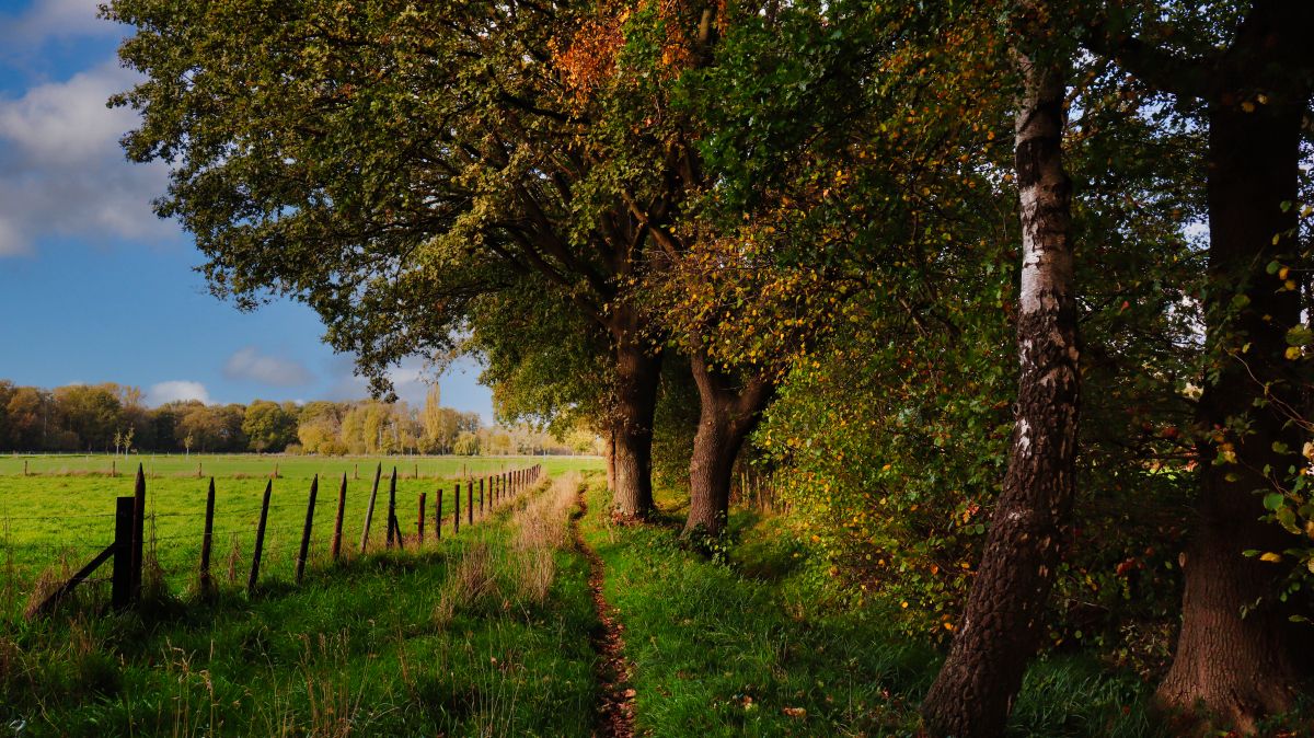 Toller Feldweg bei Karken