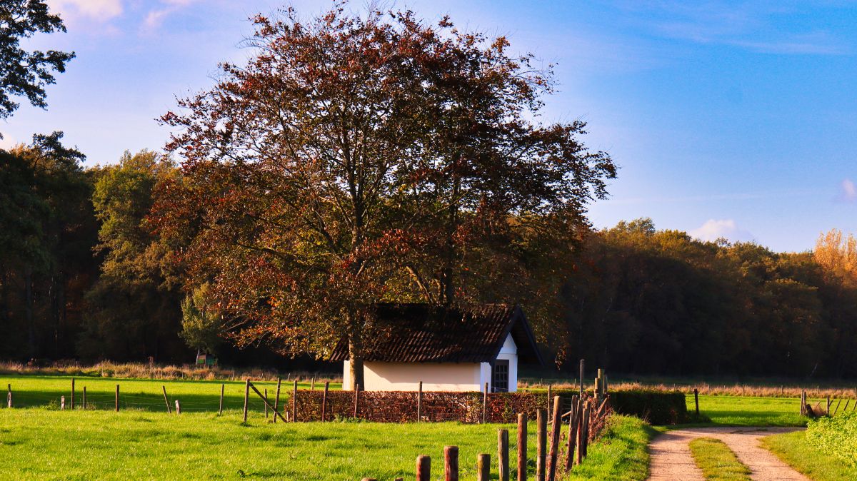 Feldkapelle Wöbel