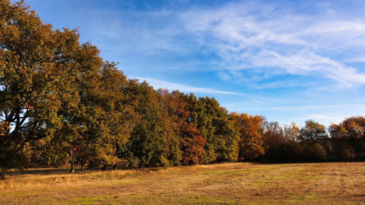 Entlang des Grenzwegs