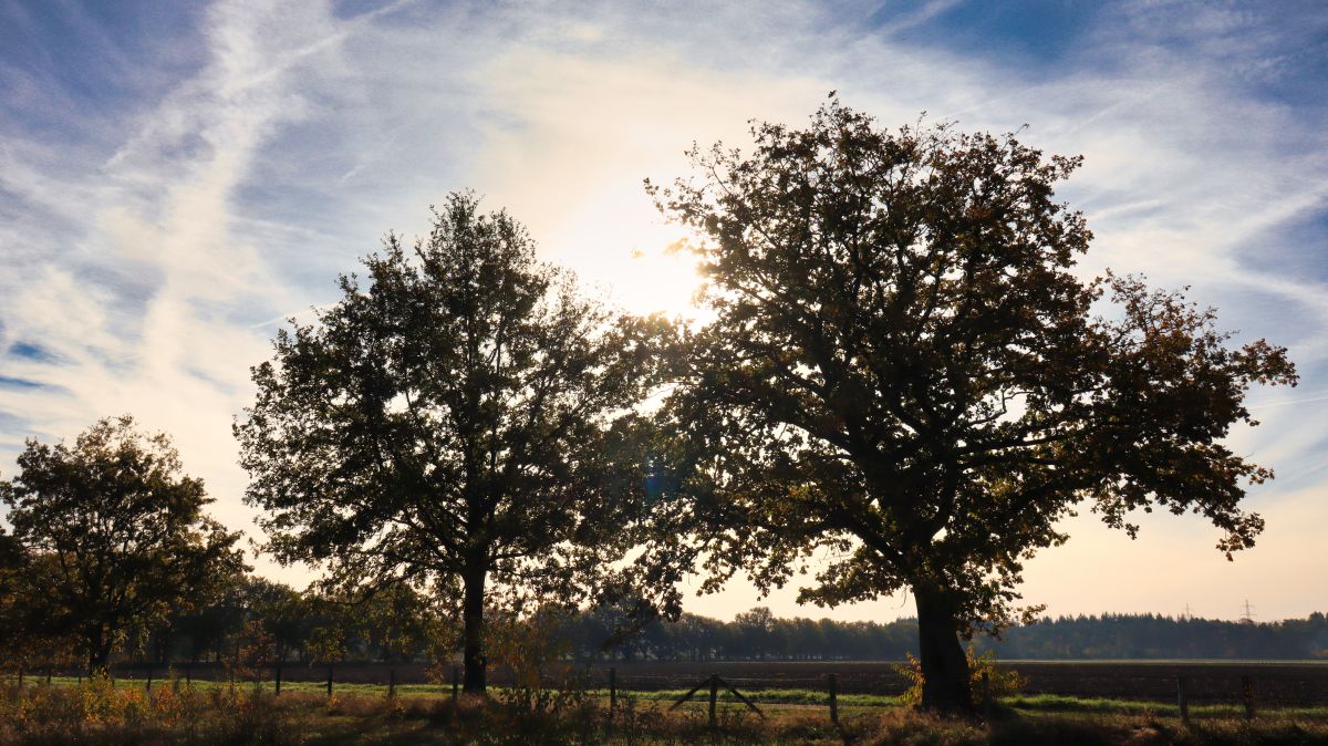 Am Duiperweg