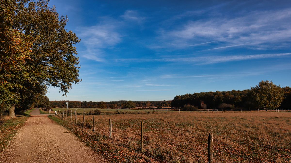 Grenzweg Luesekamp