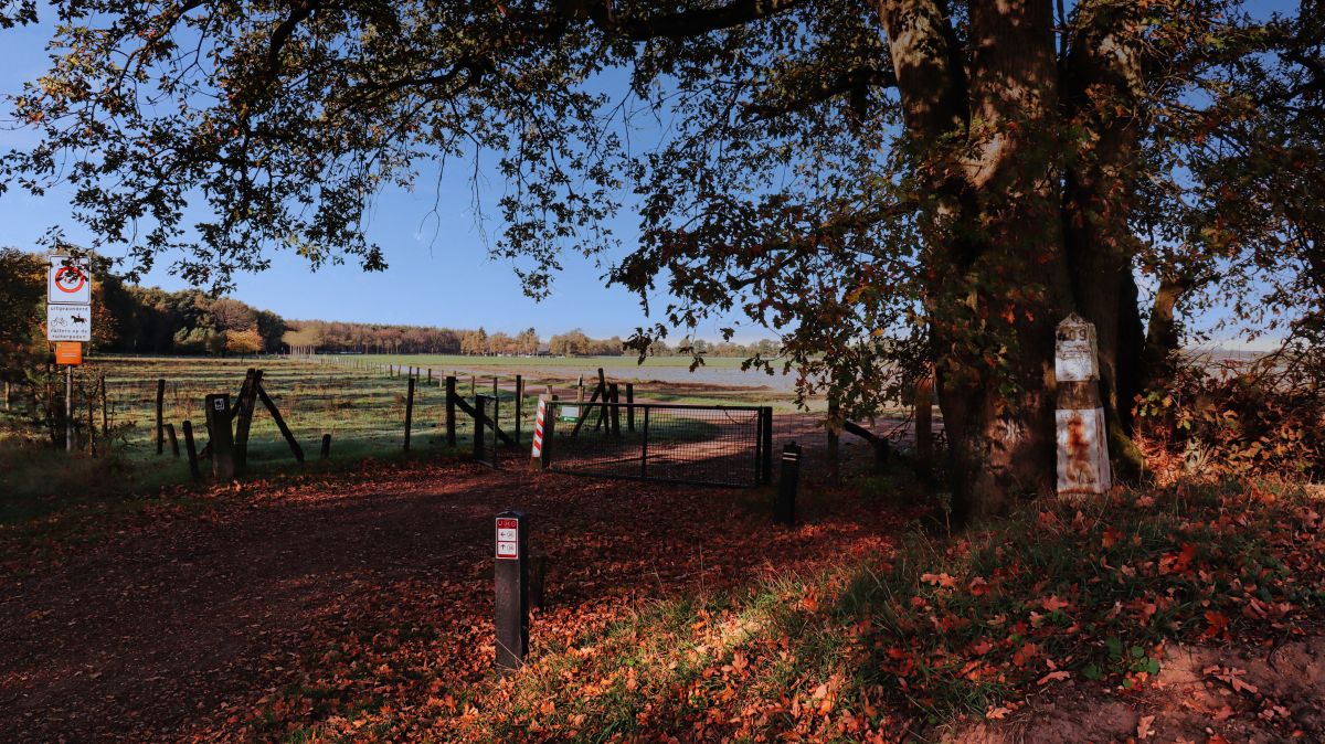 Grenzstein am Luesekamp