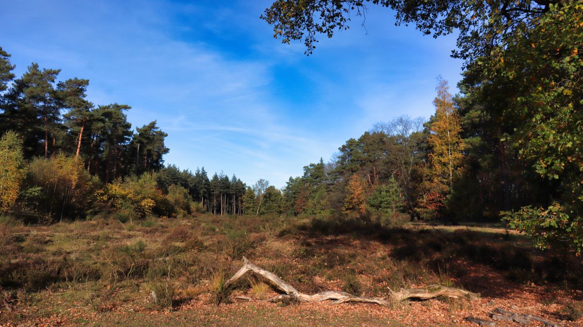 Zwischen Luesekamp und Melickerven