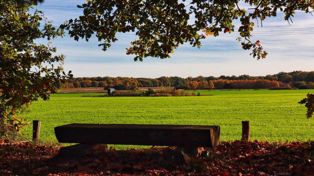 Wiesen Nähe Venhof