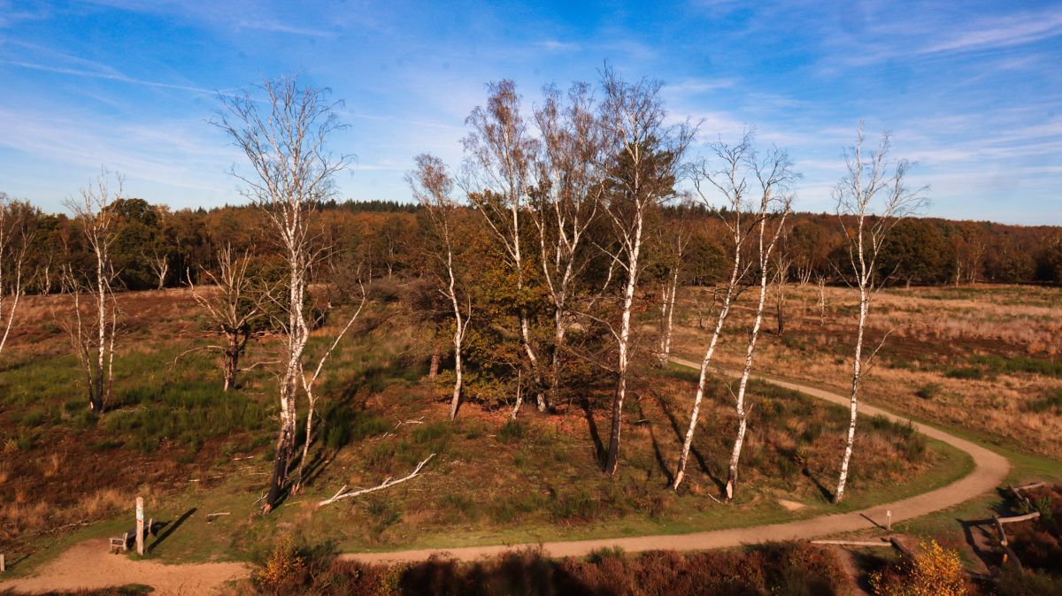 Blick vom Aussichtsturm auf dem Waalsberg