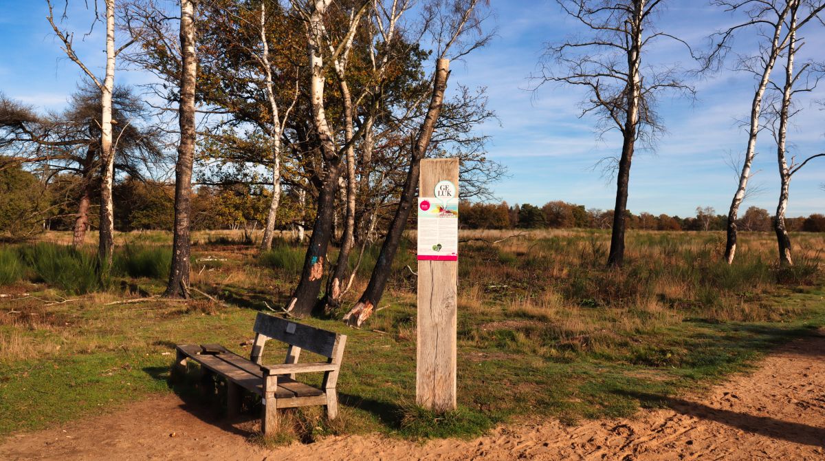 Glückspunkt in der Heide