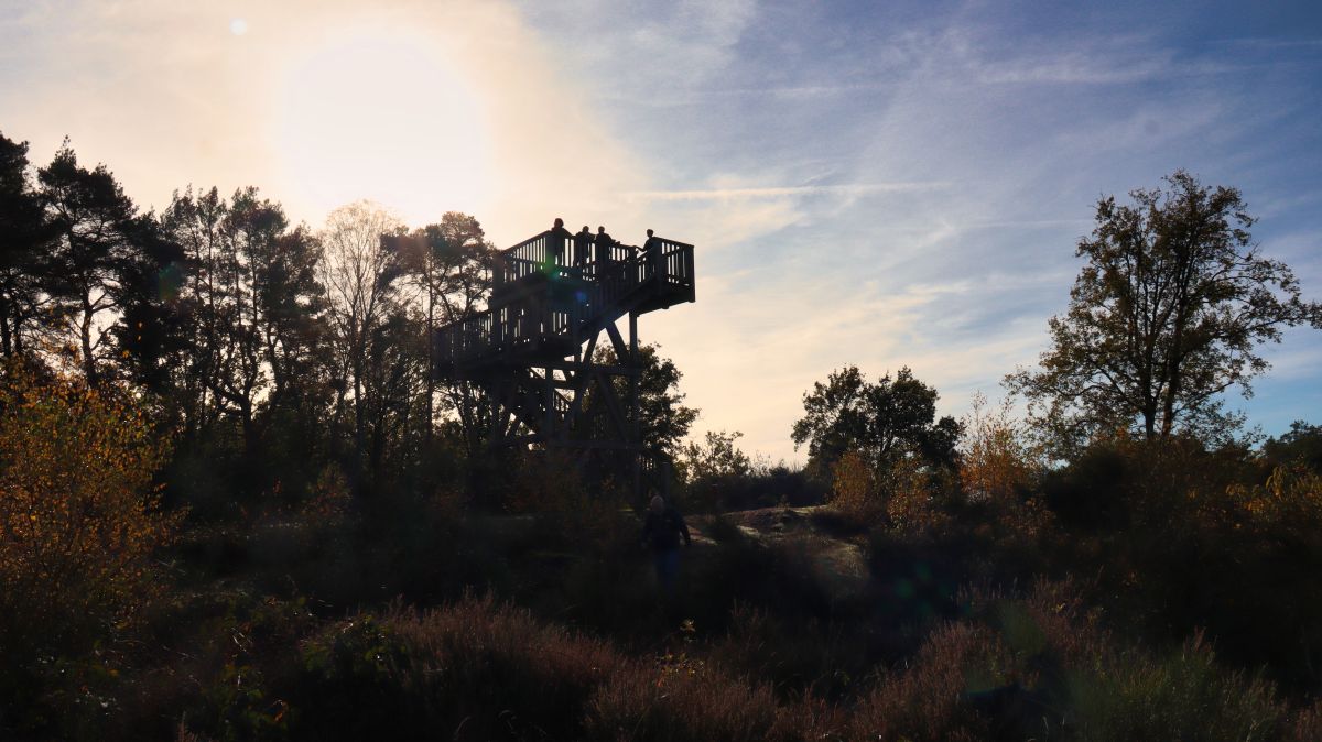 Aussichtsturm Waalsberg