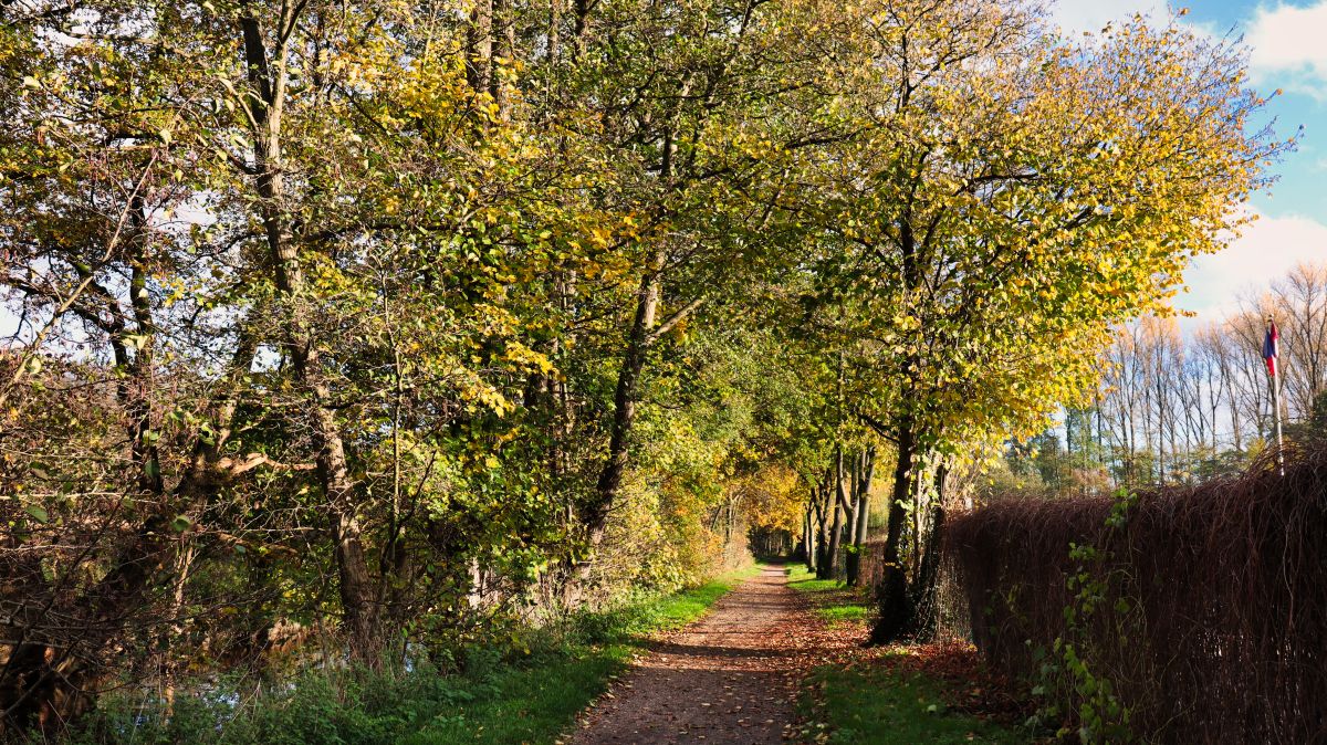 Schwalm Uferweg an der Pannenmühle