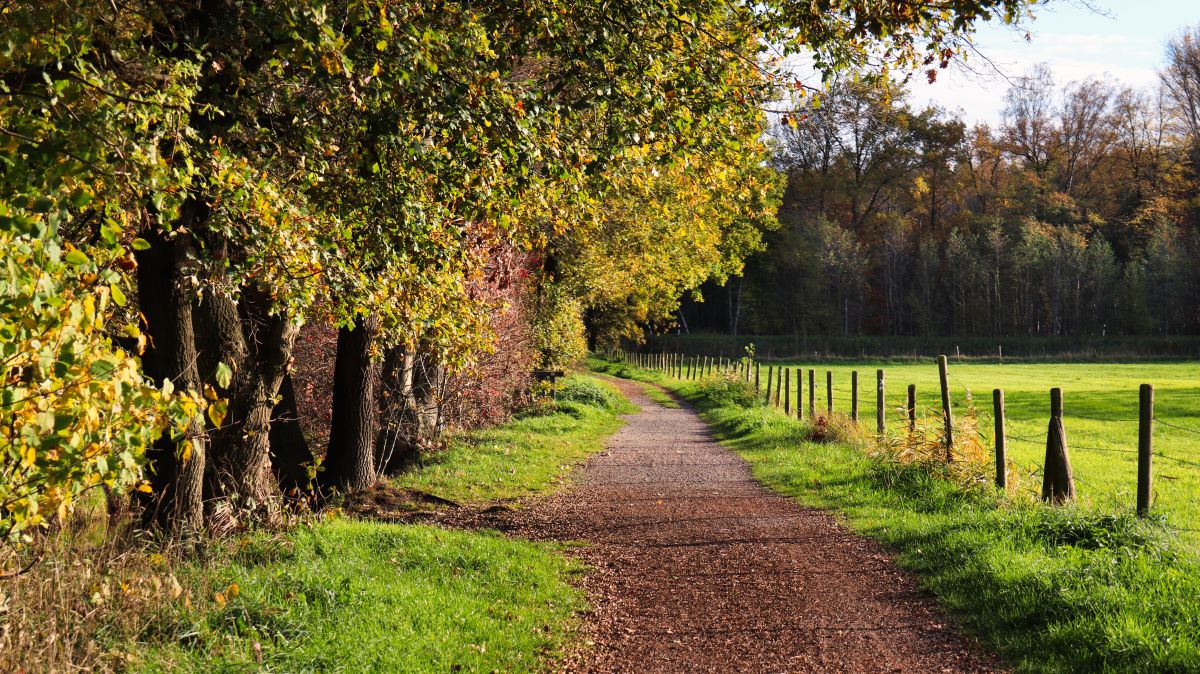 Weg entlang des Liplakengraben