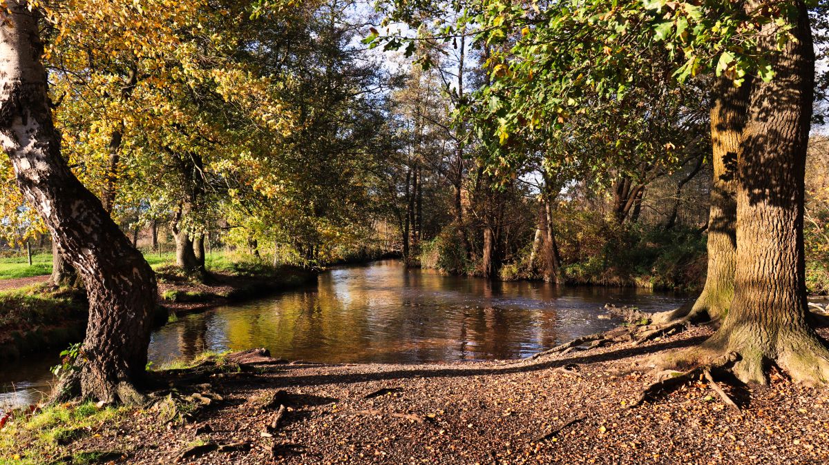 Liplakengraben und Schwalm