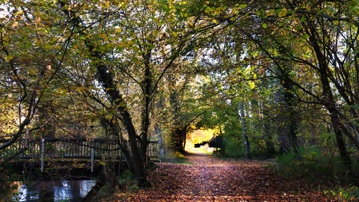 Schwalmbrücke am Weg In Tetelrath