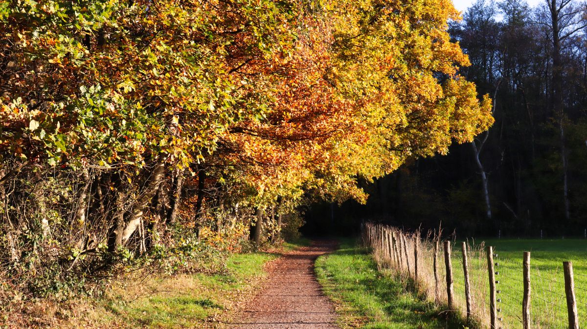 Wanderweg entlang der Schwalm bei Lüttelforst