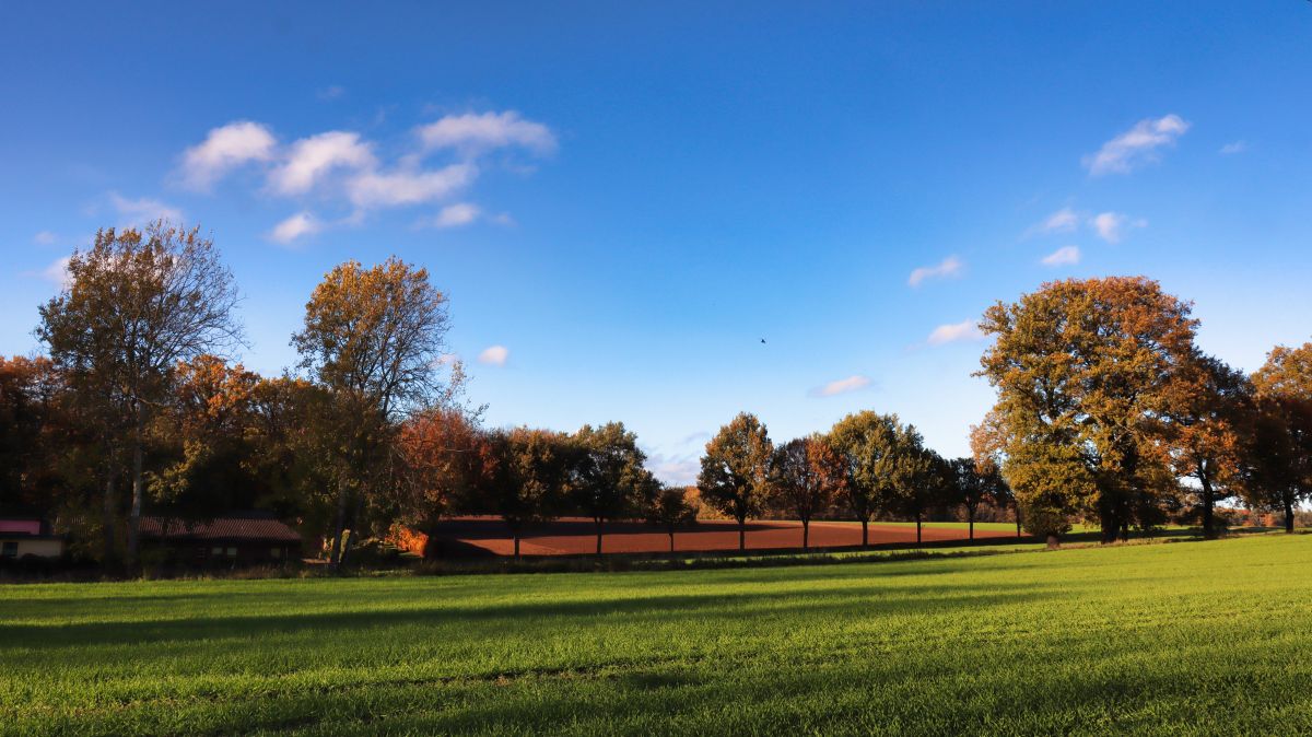 Im Feld oberhalb von Lüttelforst