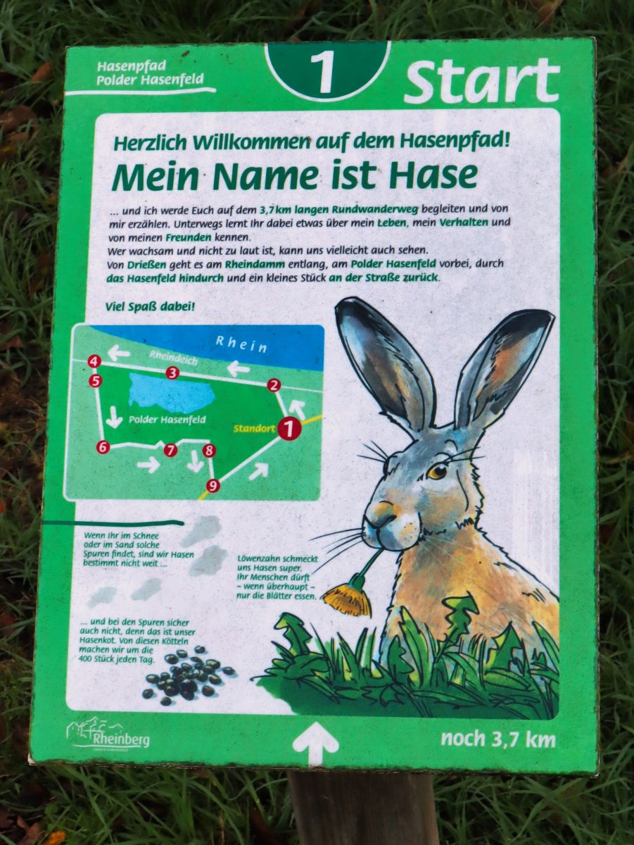 Infotafel Hasenpfad